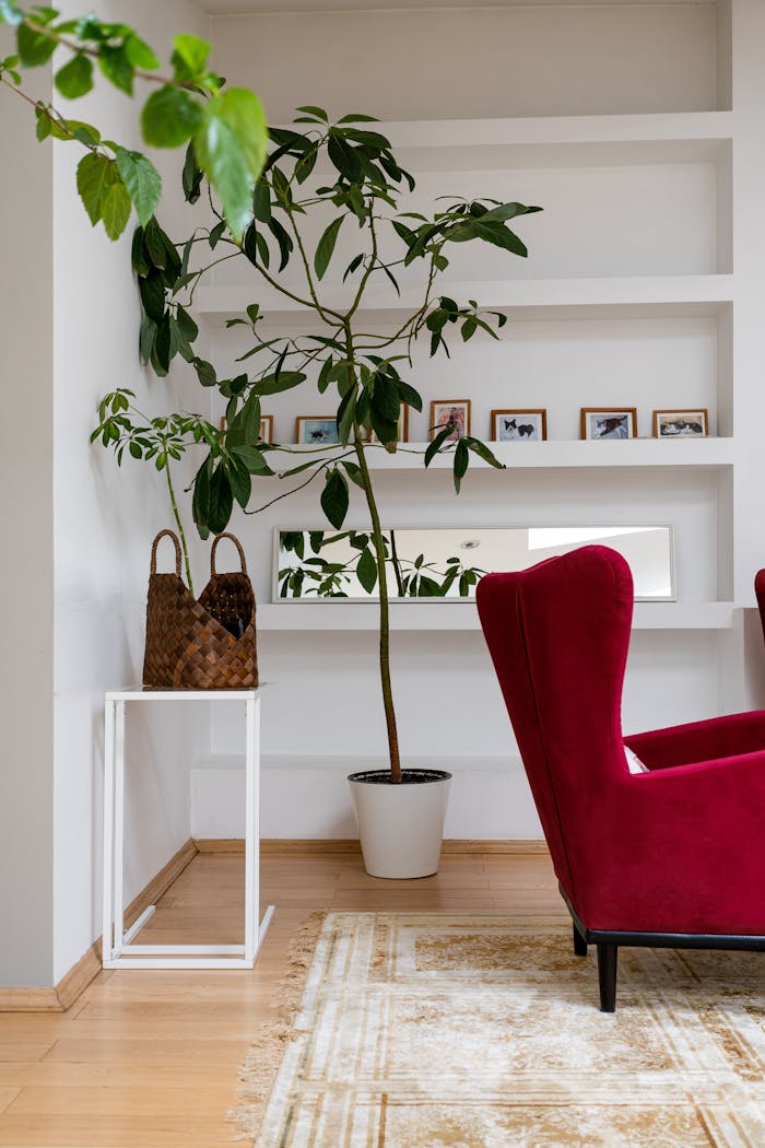Stylish living room featuring a red armchair, houseplant, and minimalist decor on white shelves.