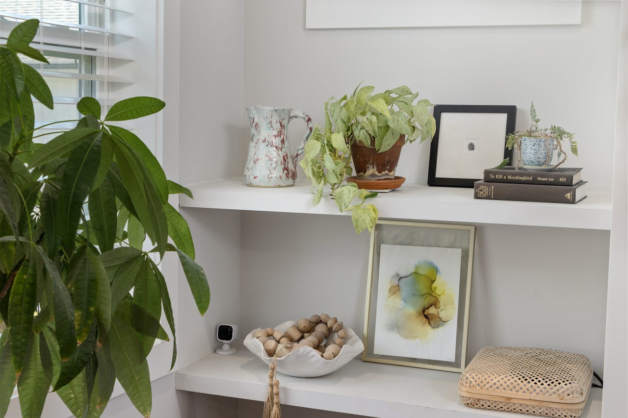 Modern shelf with potted plants, art, and books creating a cozy indoor atmosphere.